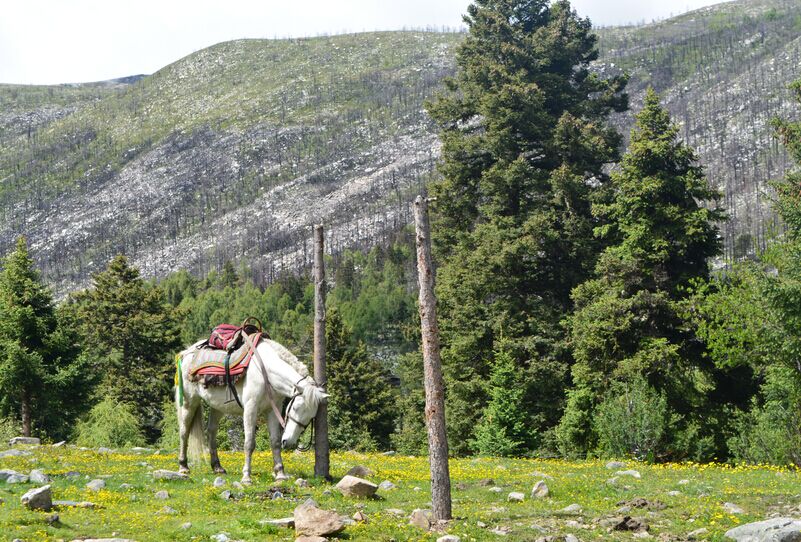 “樂(lè)翻天”----2015瑞方的康定行 第12張 “樂(lè)翻天”----2015瑞方的康定行 第12張