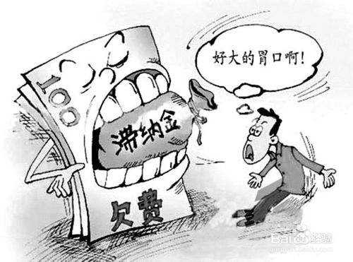 社保滯納金怎么算？ 第1張