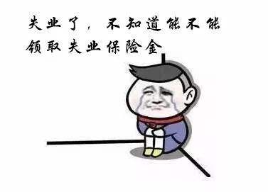 失業(yè)保險中斷就清零嗎？ 第1張