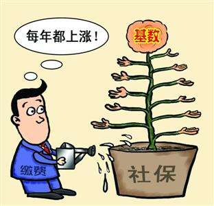 個人和單位繳納的社保，待遇會有什么區(qū)別？ 第1張