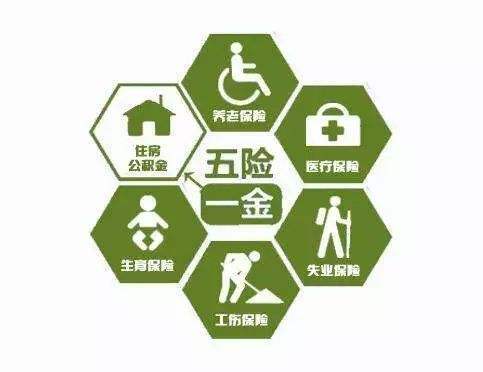 公司給員工繳納五險一金是按照什么比例繳納的？ 第1張