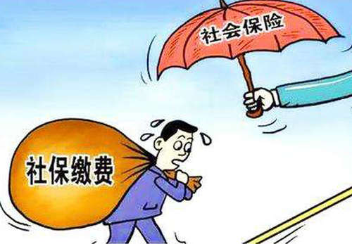 個人交社保怎么交？ 第1張