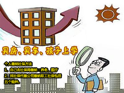 自己個人如何繳納社保？ 第1張