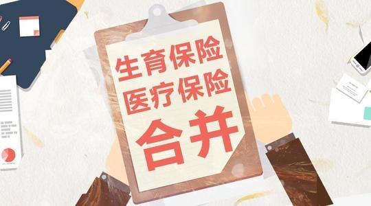 2020年如何為公司交社保？ 第1張