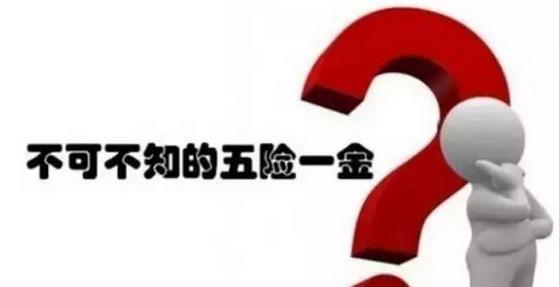 五險一金好還是社保好？ 第1張