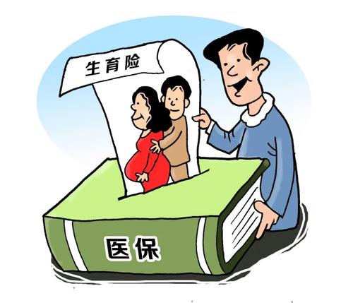 成都生育保險并入醫(yī)療保險將實施 第1張 成都生育保險并入醫(yī)療保險將實施 第1張
