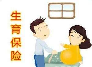 職工參加生育保險(xiǎn)可以享受哪些待遇？ 第1張