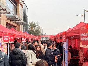 “百米小巷”人潮涌動！瑞方人力助力2025年武侯區(qū)春風(fēng)行動專場招聘會“開門紅” 第5張